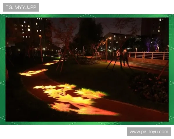 _光影变换：在灯光秀中体验不同的比赛氛围_，光影秀表演