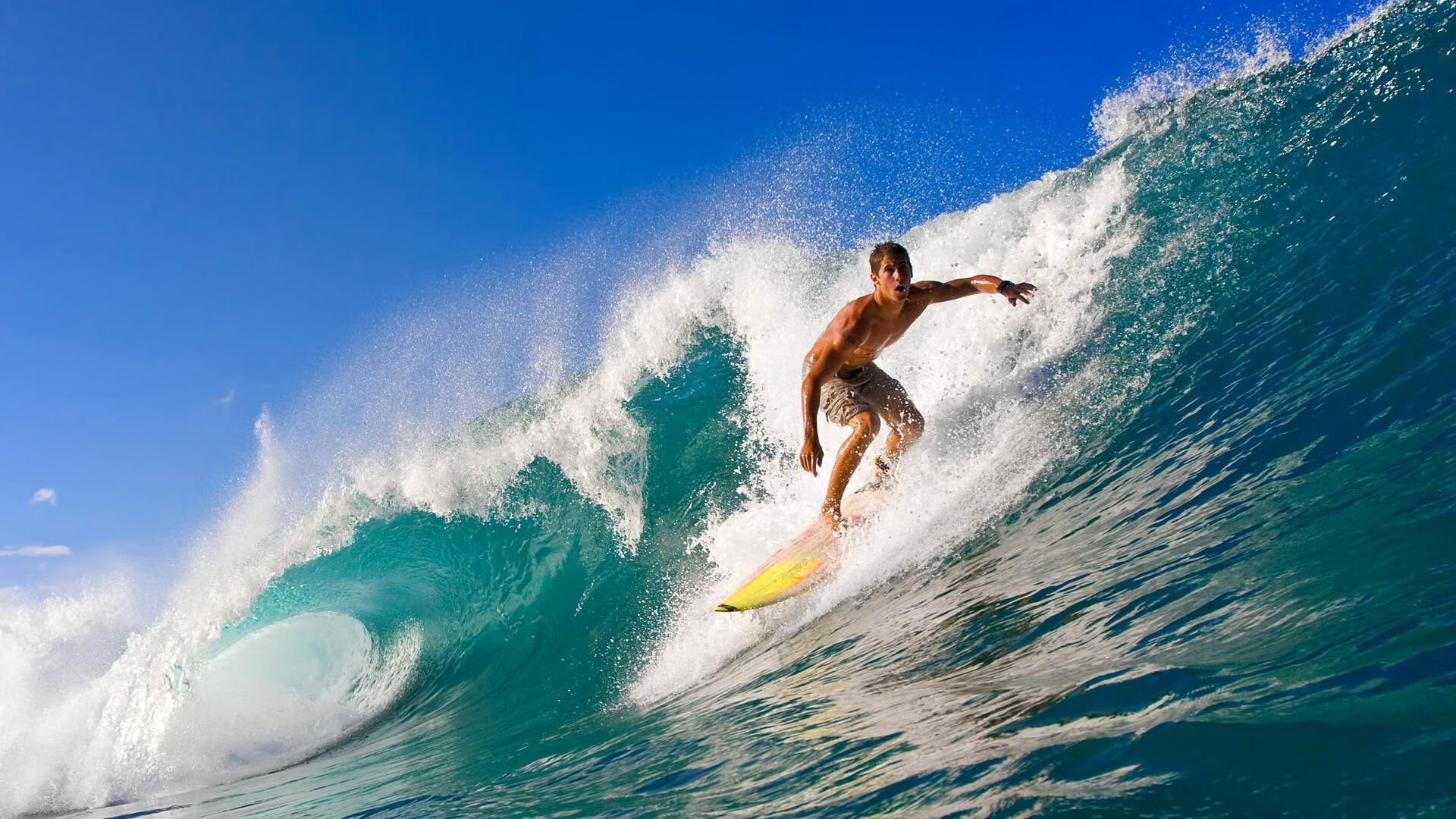 利物浦欧冠赛场奋力争先，目标冲击冠军